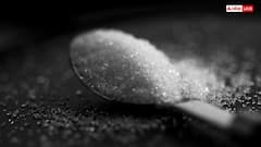 Sugar Export Ban: चीनी निर्यात पर सरकार ने लगाया बैन, जानें प्रोडक्शन के मामले में किस नंबर पर भारत?