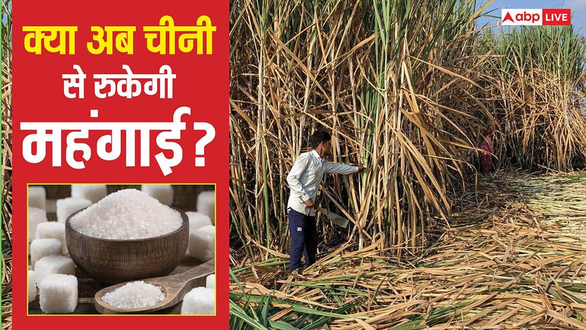 Sugar Export: चीनी पर सरकार टेंशन में क्यों? स्टॉक भरपूर फिर क्यों अपनाया प्रोटेक्शन मोड? जानें निर्यात बैन की वजह