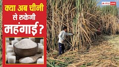 चीनी पर सरकार टेंशन में क्यों? स्टॉक भरपूर फिर क्यों अपनाया प्रोटेक्शन मोड? जानें निर्यात बैन की वजह