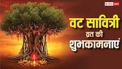 वट सावित्री व्रत की शुभकामनाएं, अपनों को भेजकर करें अखंड सौभाग्य बने रहने की कामना