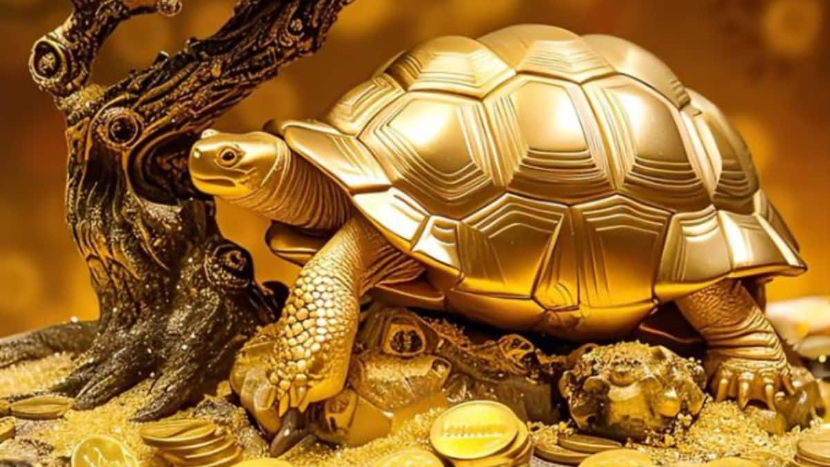 Tortoises Vastu Tips: తాబేలు ఇంటికి అదృష్టమా , దురదృష్టమా? ఎలాంటి తాబేలు ఉంటే సంపద పెరుగుతుంది, వాస్తు నియమాలేంటి?