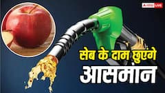 डीजल महंगा होने से सेब के दाम छुएंगे आसमान, वजह ट्रांसपोर्ट नहीं, बल्कि कुछ और है
