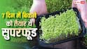 सिर्फ 7 दिन में तैयार हो जाता है ये सुपरफूड, बाजार में है बंपर डिमांड