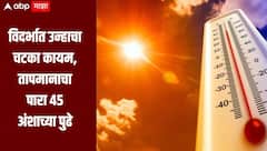 विदर्भात उन्हाचा चटका कायम, तापमानाचा पारा 45 अंशाच्या पुढे, राज्यात कोणत्या जिल्ह्यात किती तापमान?