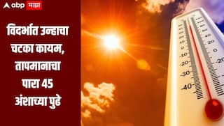 विदर्भात उन्हाचा चटका कायम, तापमानाचा पारा 45 अंशाच्या पुढे, राज्यात कोणत्या जिल्ह्यात किती तापमान?