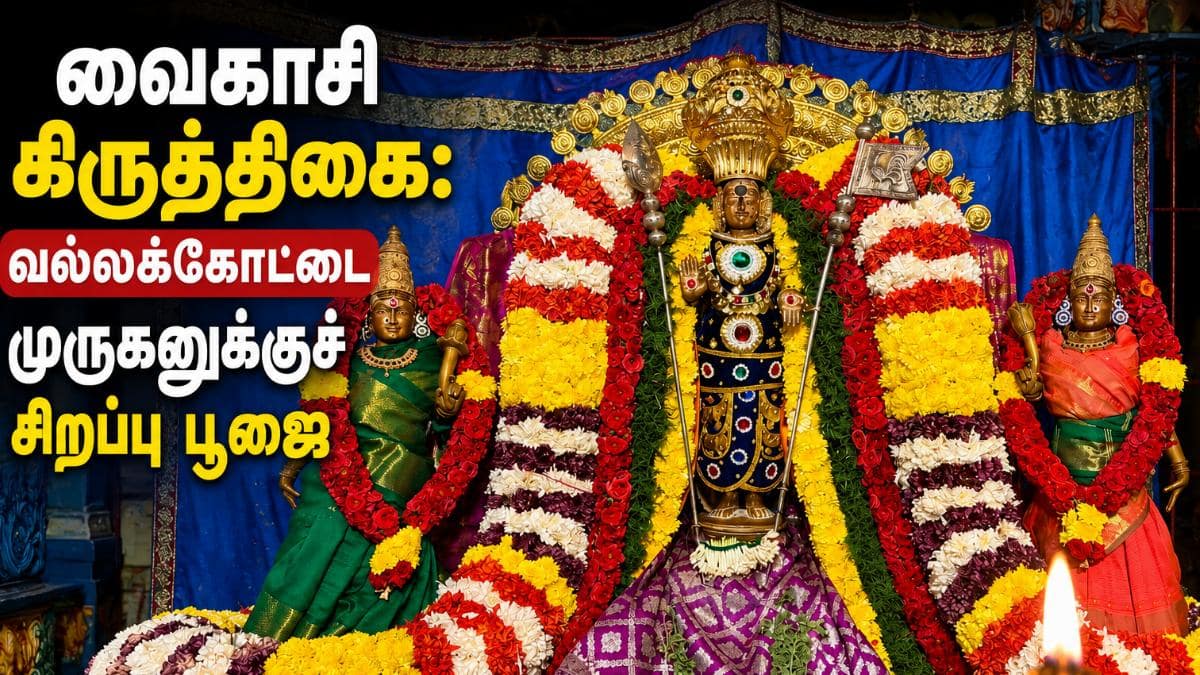 வைகாசி கிருத்திகை: வல்லக்கோட்டை முருகனுக்குச் சிறப்பு பூஜை – பத்தாயிரத்திற்கும் மேற்பட்ட பக்தர்கள் தரிசனம்!