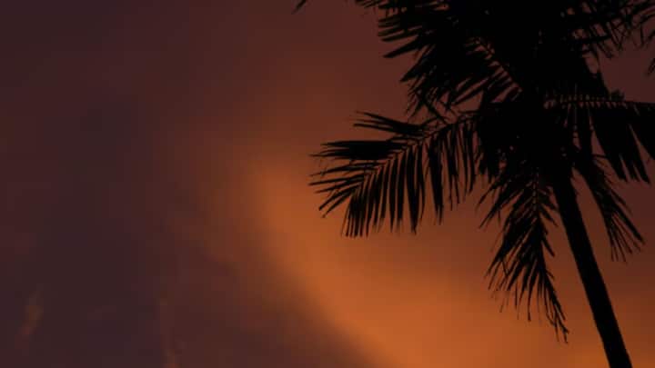 এই পরিস্থিতিকে Urban Heat Island বলে উল্লেখ করেছেন জয়া। শহর এবং নগরাঞ্চলে এই পরিস্থিতি তীব্র হয়ে উঠেছে বলে মত তাঁর। মনুষ্যঘটিত কারণগুলির উপর বিশেষ জোর দিয়েছেন তিনি। এমন চললে রাতের বেলার তাপমাত্রা আরও বাড়বে।