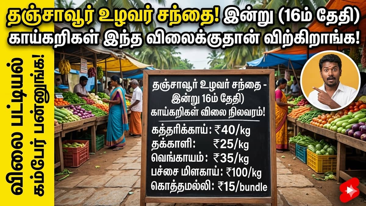 பீன்ஸ்சும், அவரைக்காயும் உச்சத்தில்... இன்றைய காய்கறி நிலவரம் இதுதாங்க