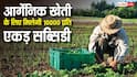 आर्गेनिक खेती करने वाले किसानों को मिलेगी 5 साल तक 10000 प्रति एकड़ सब्सिडी, जानें कैसे उठा सकते हैं लाभ