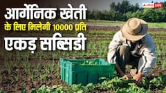 आर्गेनिक खेती करने वाले किसानों को मिलेगी 5 साल तक 10000 प्रति एकड़ सब्सिडी, जानें कैसे उठा सकते हैं लाभ