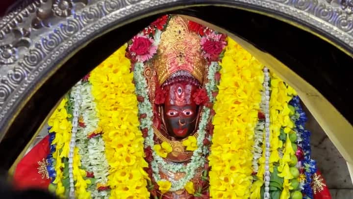 এই পুজোয় ফলহারিণী রূপে আদ্যাশক্তি মহামায়া কালী কৃতকর্মের যাবতীয় ফল হরণ করেন এবং অভীষ্ট ফল দান করেন।