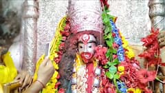 Falharini Pujo: ফলহারিণী কালীপুজোয় ভক্তদের ঢল, মায়ের আশীর্বাদ নিতে মন্দিরে মন্দিরে ভিড়