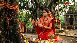 Vat Savitri Vrat 2026: Know What To Do If You Don't Find A Banyan Tree Nearby For Worship