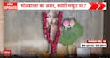BIG BREAKING: Religious Activities Continue at Bhojshala Temple Complex After High Court Verdict