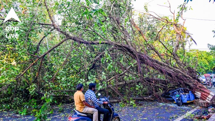 দক্ষিণ-পূর্ব আরব সাগরের কিছু অংশ, দক্ষিণ পশ্চিম ও দক্ষিণ পূর্ব বঙ্গোপসাগরেও ঢুকেছে বর্ষা। আন্দামান সাগরের বেশিরভাগ অংশেই এখন মৌসুমী বায়ু।