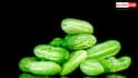 Kitchen Gardening Tips: घर के किचन गार्डन में ऐसे उगाएं कुंदरू, नोट कर लें पूरा तरीका