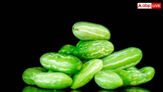 Kitchen Gardening Tips: घर के किचन गार्डन में ऐसे उगाएं कुंदरू, नोट कर लें पूरा तरीका Kitchen Gardening Tips: घर के किचन गार्डन में ऐसे उगाएं कुंदरू, नोट कर लें पूरा तरीका