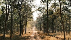 Wildlife Protection Rules: Wildlife Sanctuary और नेशनल पार्क में क्या होता है अंतर? यहां जान लीजिए