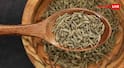 Natural remedies for acid reflux: पेट की जलन से छुटकारा पाने के लिए आजमाएं ये 5 भारतीय हर्ब्स, एसिड रिफ्लक्स को कर सकती हैं कम