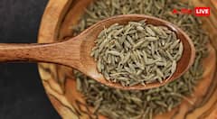 Natural remedies for acid reflux: पेट की जलन से छुटकारा पाने के लिए आजमाएं ये 5 भारतीय हर्ब्स, एसिड रिफ्लक्स को कर सकती हैं कम