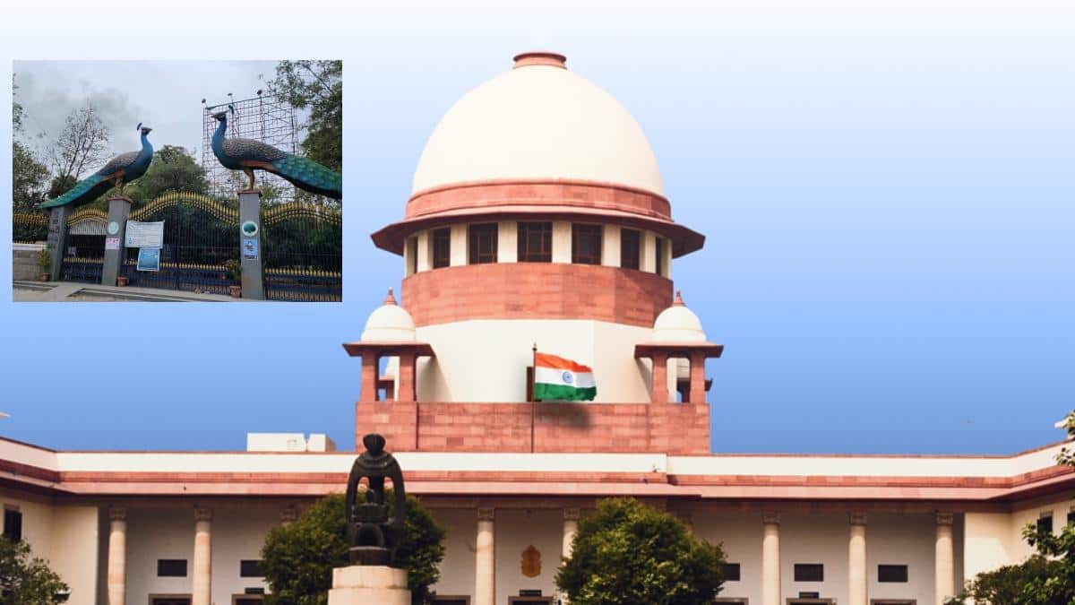 Supreme Court: హైదరాబాద్‌లోని KBR పార్క్ పరిసరాల్లో చెట్ల నరికివేతపై సుప్రీంకోర్టు స్టే