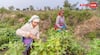 PM kisan 23rd Installment Date: किसान निधि की 23वीं किस्त आपके खाते में आएगी या नहीं? ऐसे चेक करें अपना स्टेटस