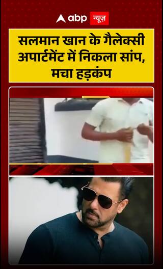 Viral Video: Snake Spotted at Salman Khan’s Galaxy Apartment, Panic Ensues