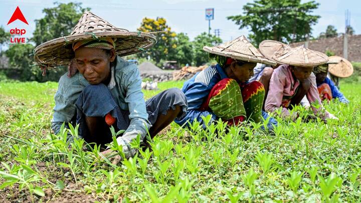 ২৩ মে-ও উত্তরবঙ্গের আবহাওয়া খারাপ থাকার সম্ভাবনা রয়েছে। দার্জিলিং, কালিম্পং ও কোচবিহারে ঝড়ের সঙ্গে বৃষ্টি হতে পারে।