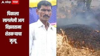 मका पिकाला लागलेली आग विझवताना मोठी दुर्घटना, भंडाऱ्यात शेतकऱ्याचा होरपळून मृत्यू