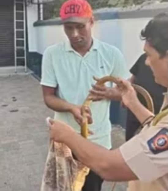सलमान खान के गैलेक्सी अपार्टमेंट में घुसा सांप, मची अफरा-तफरी, मौके पर पहुंची रेस्क्यू टीम