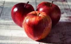Onion Smell : ਪਿਆਜ਼ ਖਾਣ ਤੋਂ ਬਾਅਦ ਹੱਥਾਂ ਅਤੇ ਮੂੰਹ ਤੋਂ ਆ ਰਹੀ ਬਦਬੂ ? ਇਹ 5 ਤਰੀਕੇ ਮਿੰਟਾਂ 'ਚ ਕਰਨਗੇ ਦੂਰ