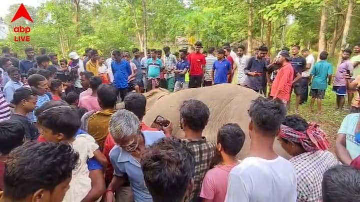 এই মর্মান্তিক ঘটনার পর থেকেই কৌশলা হেরিটেজ কর্তৃপক্ষের বিরুদ্ধে ক্ষোভে ফেটে পড়েছেন স্থানীয় বাসিন্দারা। তাঁদের অভিযোগ, বন্যপশুকে আটকানোর নামে এভাবে খোলা বিদ্যুতের তার ফেলে রাখা অত্যন্ত ঝুঁকিপূর্ণ এবং বেআইনি। এতে শুধু হাতির মতো বন্যপ্রাণী নয়, যেকোনো সময় বড়সড় দুর্ঘটনা ঘটতে পারত কোনো মানুষের সঙ্গেও। দোষীদের চিহ্নিত করে অবিলম্বে উপযুক্ত ও কঠোর শাস্তিমূলক ব্যবস্থা নেওয়ার দাবি জানিয়েছেন গ্রামবাসীরা।