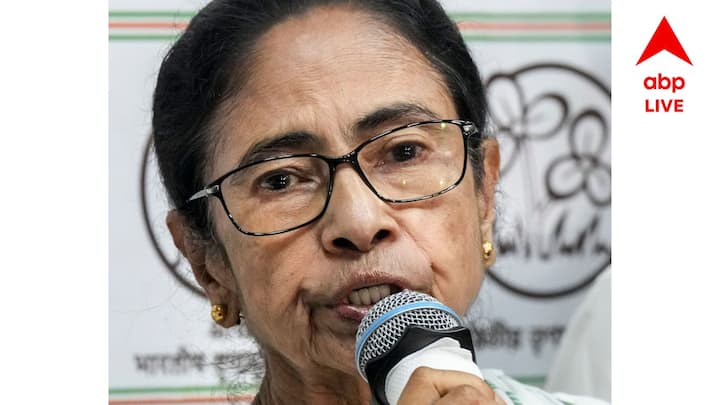 পুরনো ভিডিওতে ধরা রয়েছে সেই ভয়াবহ বক্তব্য। টুম্পা কয়াল বলছেন, 'দিদি আমাদের একটা কথা বলার...' মমতা বন্দ্যোপাধ্যায় বলেন, 'আমি শুনে নিয়েছি। আমি সব বলে দিয়েছি। টুম্পা বলেন, 'না, আমাদের কিছু কথা...' তৎকালীন মুখ্যমন্ত্রী বলেন, ' এই আপনি বেশি কথা বলবেন না তো।' টুম্পা ফের বলেন, 'বেশি কথা না। ' এরপরে মমতা বন্দ্যোপাধ্যায় কার্যত বিরক্ত হয়ে বলে ওঠেন, 'চোপ! পুরনো রাজনীতি করবেন না। সিপিএমের রাজনীতি করছে এখানে। চোরের মায়ের বড় গলা।'