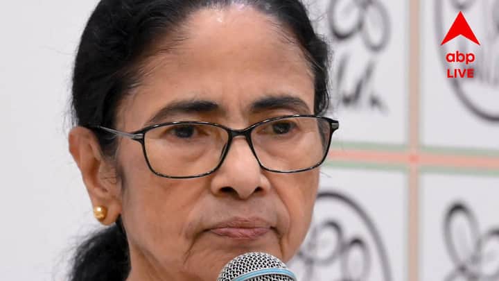 গত বছর অক্টোবরে, দুর্গাপুরে IQ সিটি মেডিক্যাল কলেজের ডাক্তারি পড়ুয়াকে গণধর্ষণের অভিযোগ ঘিরে তোলপাড় হয় রাজ্য। এই বিষয়ে মমতা বন্দ্যোপাধ্যায় বলেছিলেন, 'পুলিশ তো আর বাড়িতে বাড়িতে গিয়ে বসে থাকবে না। কিন্তু যারা হস্টেলে থাকে, তার একটা সিস্টেম আছে।'