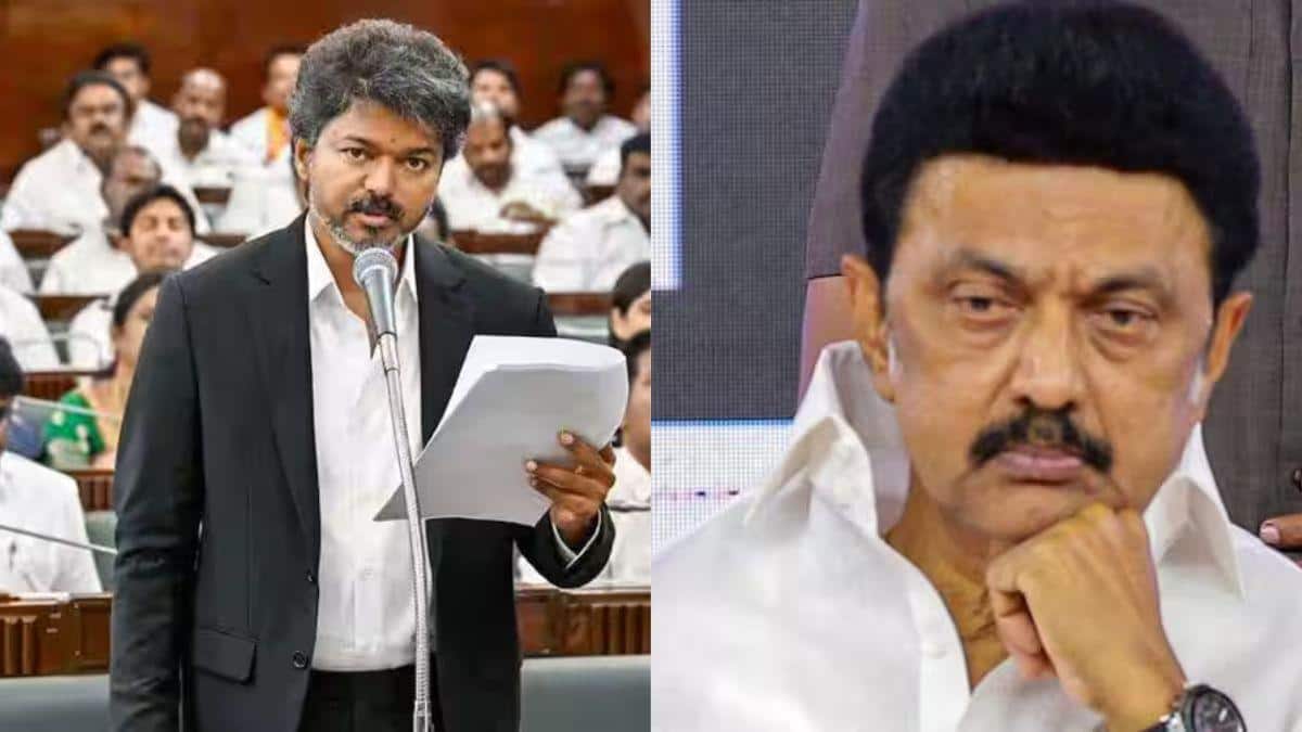 TVK Vs DMK: கூச்சமே இல்லையா..! கிழிந்து தொங்கும் திமுகவின் பொய் முதலீட்டு மூட்டைகள் - தவெக பதிலடி