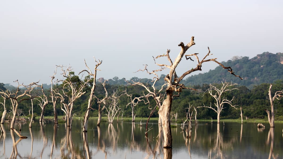 7 Stunning Tourist Destinations That Don't Allow Mobile Phones