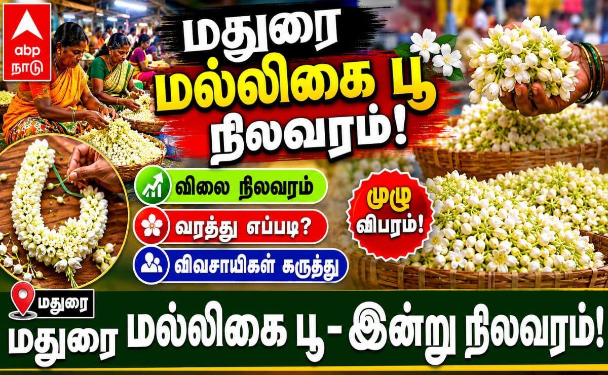 மதுரை மாட்டுத்தாவணி பூ மார்கெட்டில் (20.05.26) இன்றைய மல்லிகைப் பூ நிலவரம் இது தான் !