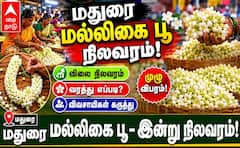 மதுரை மாட்டுத்தாவணி பூ மார்கெட்டில் (20.05.26) இன்றைய மல்லிகைப் பூ நிலவரம் இது தான் !