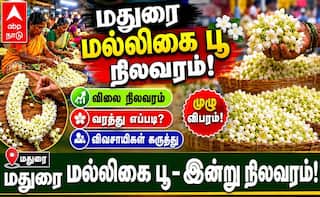 மதுரை மாட்டுத்தாவணி பூ மார்கெட்டில் (20.05.26) இன்றைய  மல்லிகைப் பூ நிலவரம் இது தான் !