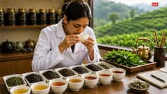 प्रोफेशनल टी-टेस्टर बनने के लिए कौन-सा कोर्स जरूरी, जानें कितनी मिलती है सैलरी?