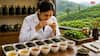 International Tea Day 2026: प्रोफेशनल टी-टेस्टर बनने के लिए कौन-सा कोर्स जरूरी, जानें कितनी मिलती है सैलरी?