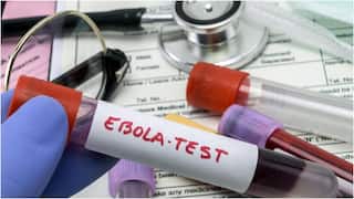 Ebola Virus : ఆఫ్రికాలో మళ్లీ ఎబోలా కలకలం.. బుండిబుగ్యో రకంపై WHO అత్యవసర హెచ్చరికలు