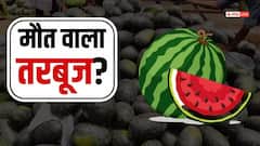 मुंबई: तरबूज से मौत का मामला, फॉरेंसिक रिपोर्ट में हुआ चौंकाने वाला खुलासा