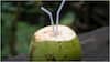 Coconut Water : కొబ్బరి నీళ్లు తాగిన వెంటనే ఇవి తినకూడదట.. ఆరోగ్యంపై ప్రభావం పడొచ్చు