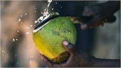 Coconut Water : కొబ్బరి నీళ్లు తాగిన వెంటనే ఇవి తినకూడదట.. ఆరోగ్యంపై ప్రభావం పడొచ్చు