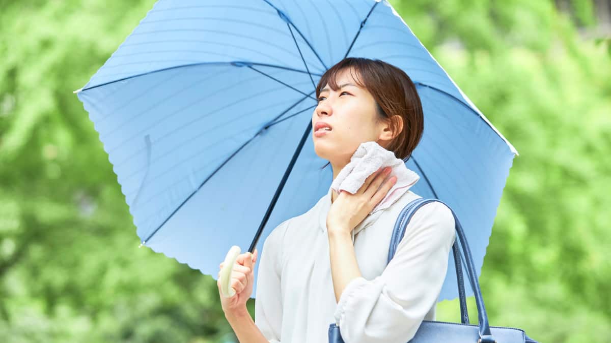 Nautapa 2026: Intense Heatwave Period To Begin From May 25, Follow These Tips To Stay Safe And Healthy