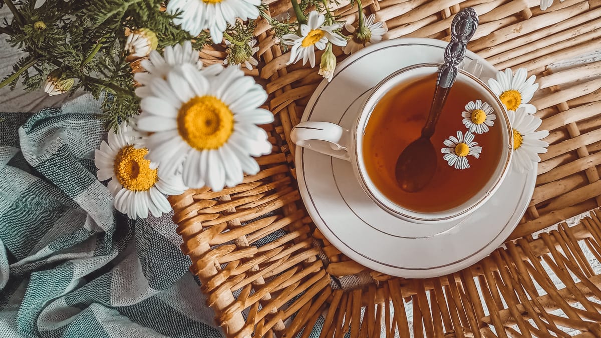 International Tea Day 2026: 7 Healthy Herbal Teas That Support Your Mind And Body