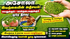 விவசாயிகளுக்கு சூப்பர் ஐடியா… அசோலா வளருங்கள்: செலவு குறைவு… லாபம் அதிகம்