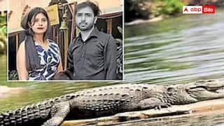 Crocodile Attack Uttar Pradesh: అత్తమ్మ అంత్యక్రియల్లో ఘోర విషాదం - సరయూ నదిలో అల్లుడిని మింగేసిన మొసలి!
