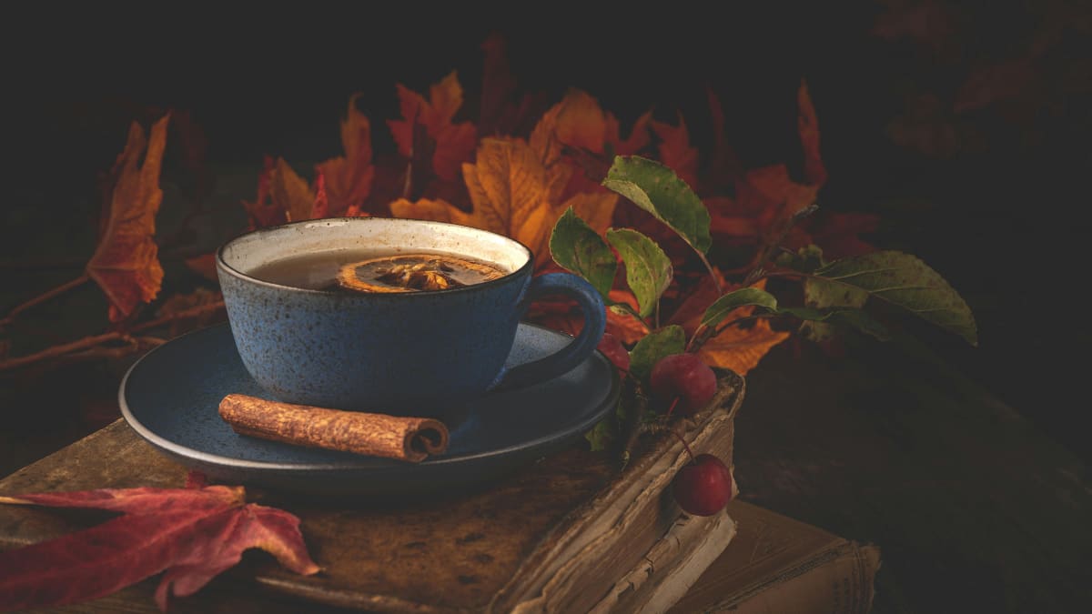 International Tea Day 2026: 7 Healthy Herbal Teas That Support Your Mind And Body